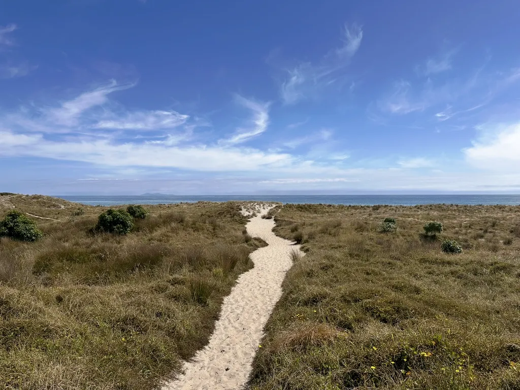Sandy path through dunes leading to the sea under a wide blue sky